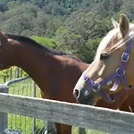 Charlie & Roy\'S Farm Berry