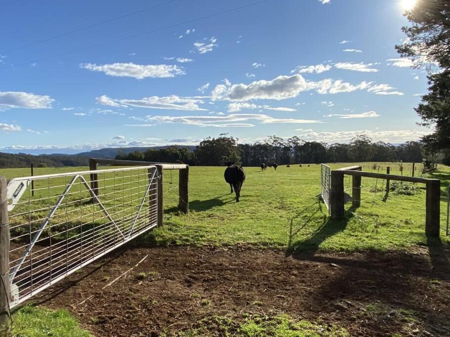 100 Acres Of Mountain Paradise To Yourself *