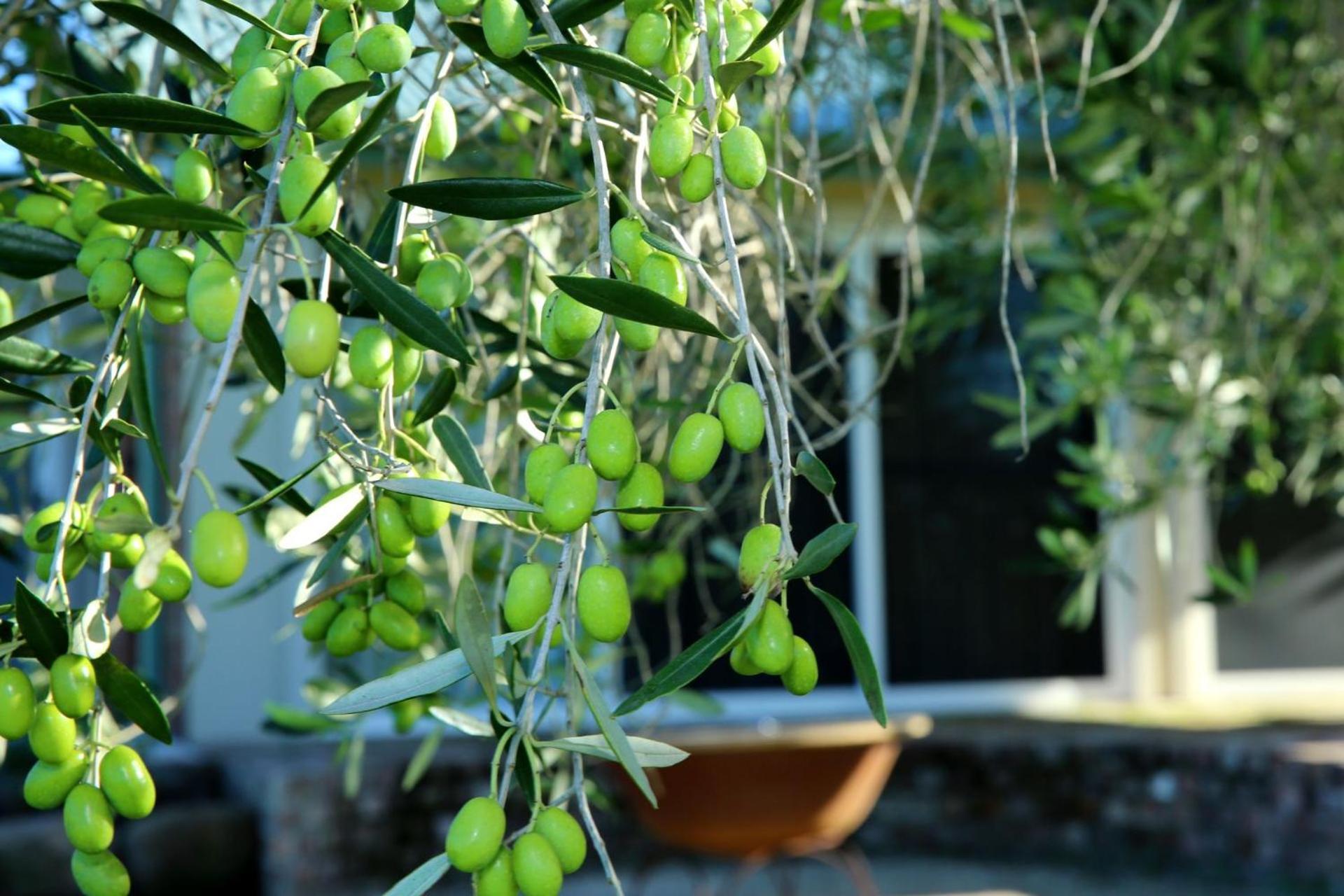 Holiday home Harley Hill Farm - A Rare Country Escape Berry