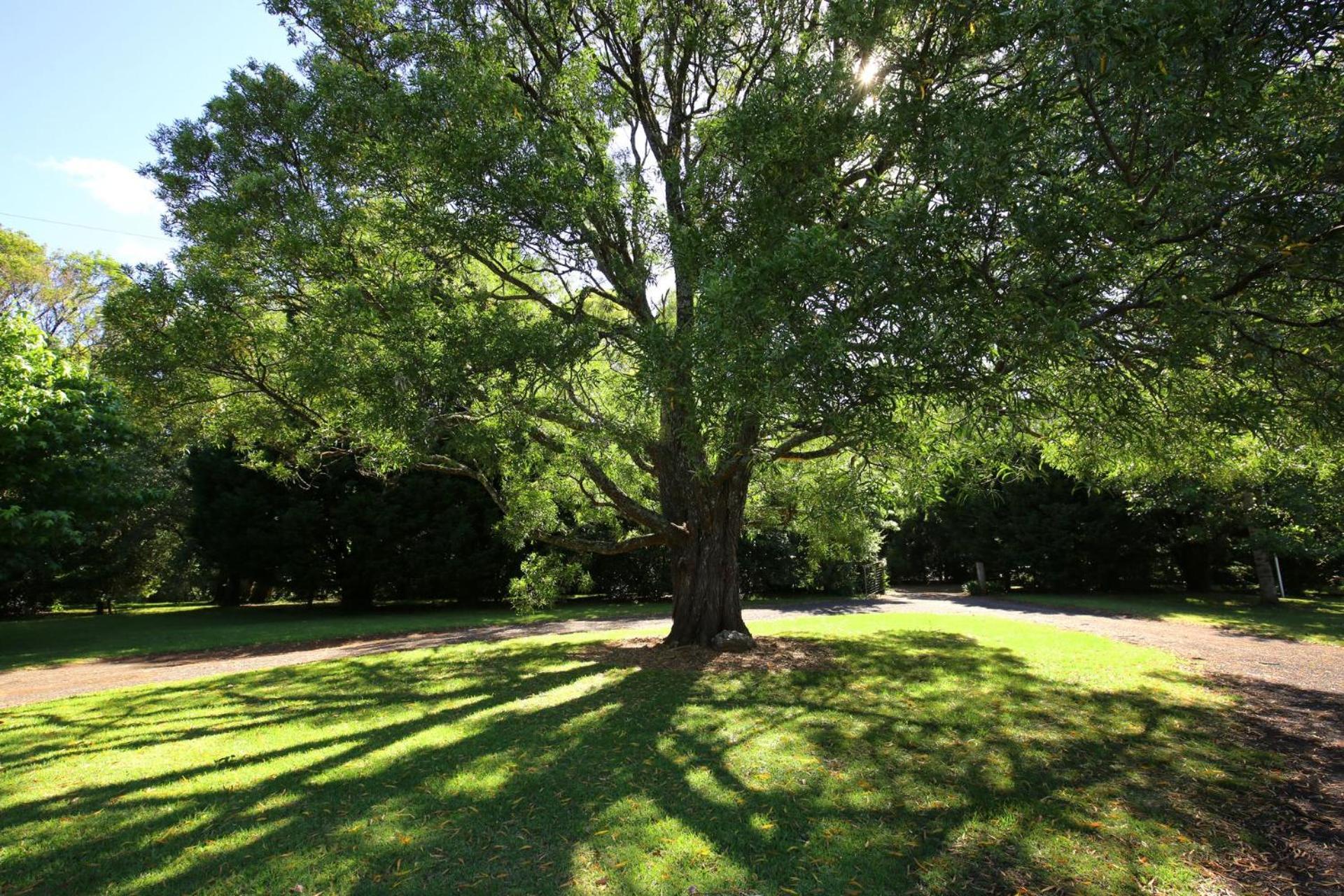 Holiday home Red Hill - Relax And Rejuvenate Berry