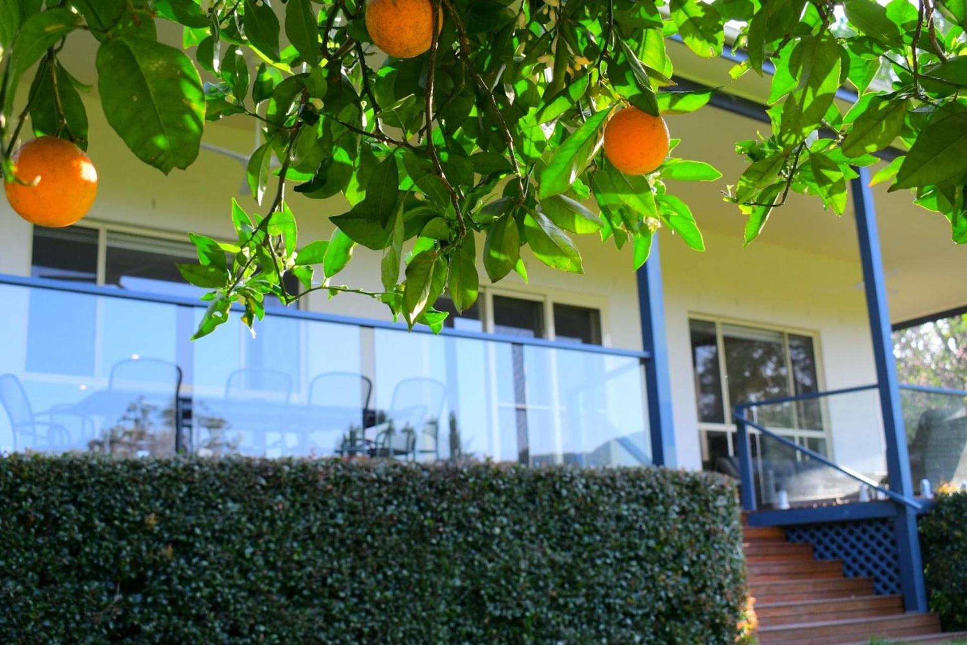 Holiday home Floriel - Convenience At Your Doorstep Berry