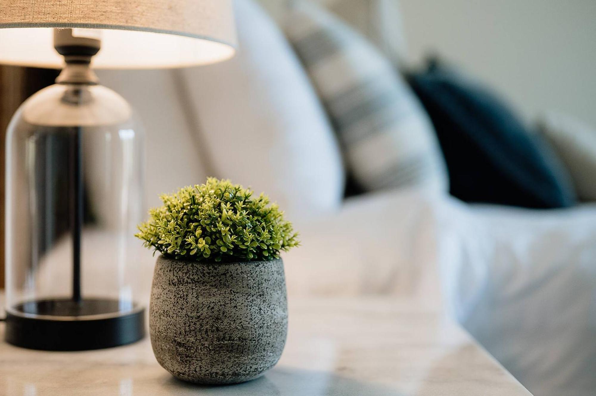 Luxury Barn House Farm stay